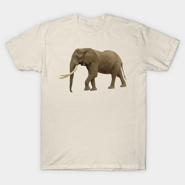 Elephant - Elephants in Africa - Wildlife T-Shirt by T-SHIRTS UND MEHR